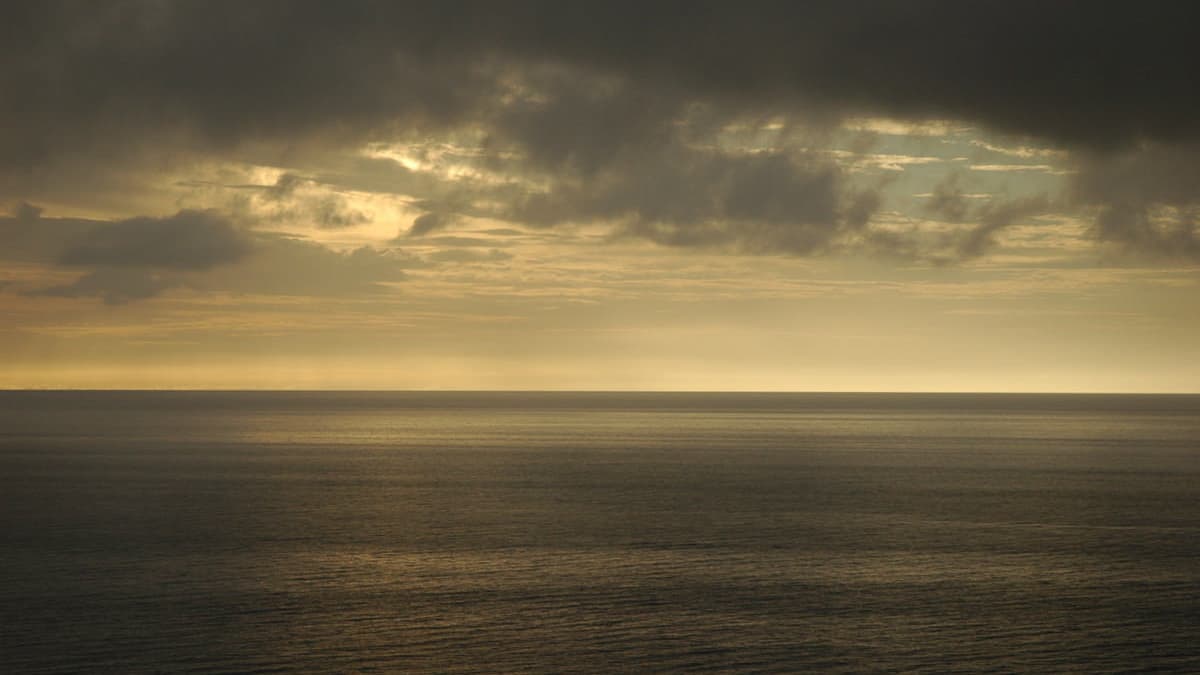 過去世　インナーチャイルド