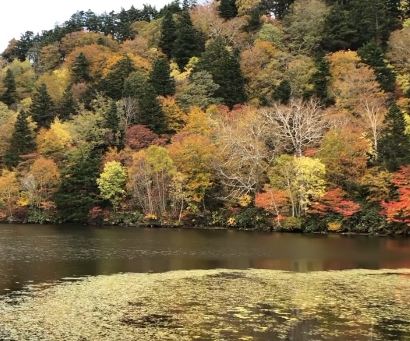 インナーチャイルド　旅